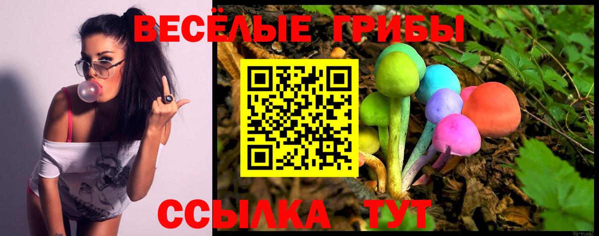Галлюциногенные грибы Cubensis  Вход с VPN  магазин  наркотиков  Дагестанские Огни 